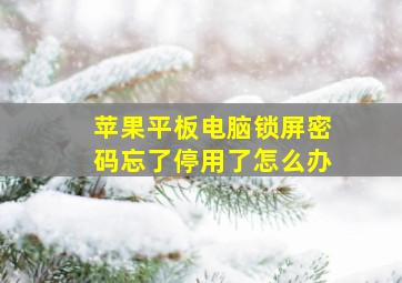 苹果平板电脑锁屏密码忘了停用了怎么办