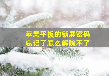 苹果平板的锁屏密码忘记了怎么解除不了