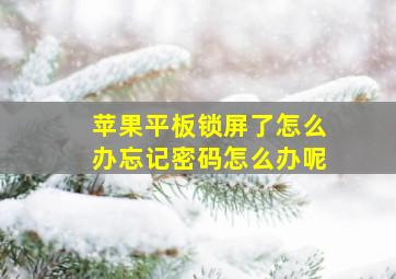 苹果平板锁屏了怎么办忘记密码怎么办呢