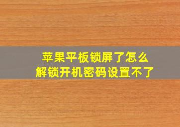 苹果平板锁屏了怎么解锁开机密码设置不了