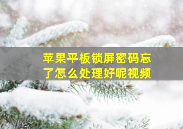 苹果平板锁屏密码忘了怎么处理好呢视频