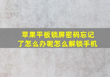 苹果平板锁屏密码忘记了怎么办呢怎么解锁手机