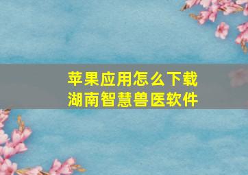 苹果应用怎么下载湖南智慧兽医软件