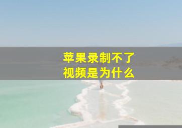 苹果录制不了视频是为什么