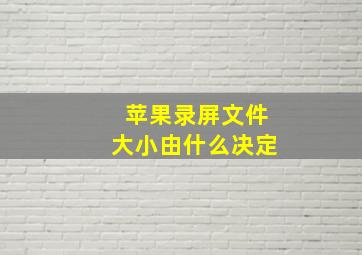 苹果录屏文件大小由什么决定