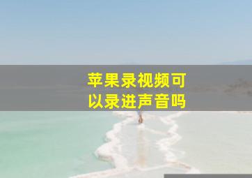 苹果录视频可以录进声音吗