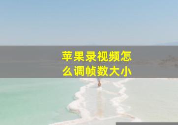 苹果录视频怎么调帧数大小