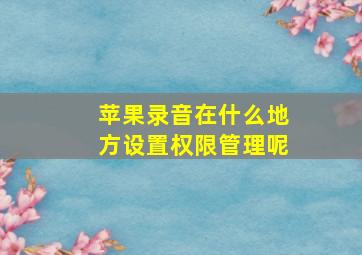 苹果录音在什么地方设置权限管理呢