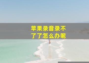 苹果录音录不了了怎么办呢