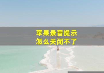 苹果录音提示怎么关闭不了