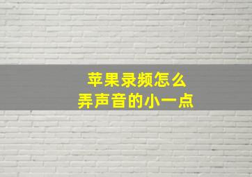 苹果录频怎么弄声音的小一点