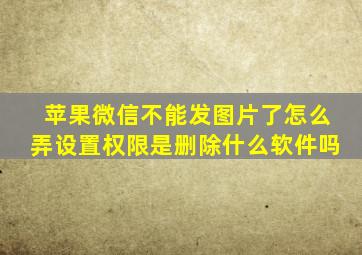 苹果微信不能发图片了怎么弄设置权限是删除什么软件吗