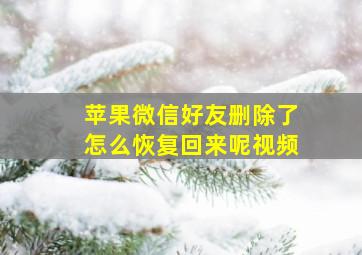 苹果微信好友删除了怎么恢复回来呢视频