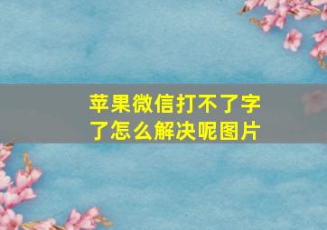 苹果微信打不了字了怎么解决呢图片