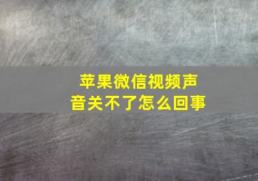 苹果微信视频声音关不了怎么回事