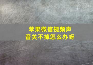 苹果微信视频声音关不掉怎么办呀