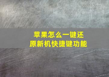 苹果怎么一键还原新机快捷键功能