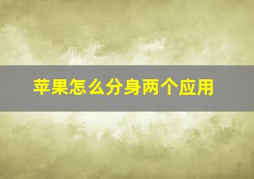 苹果怎么分身两个应用