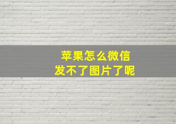 苹果怎么微信发不了图片了呢