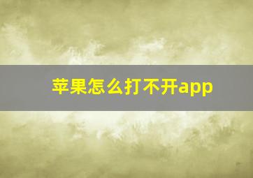 苹果怎么打不开app