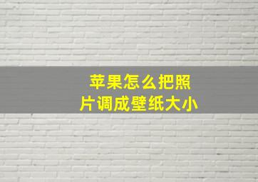 苹果怎么把照片调成壁纸大小