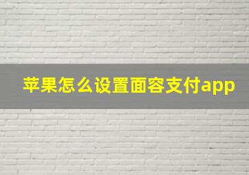 苹果怎么设置面容支付app