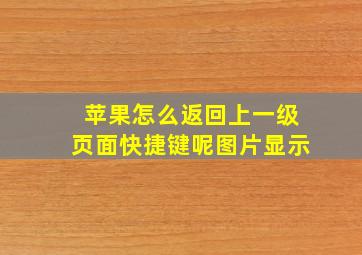 苹果怎么返回上一级页面快捷键呢图片显示