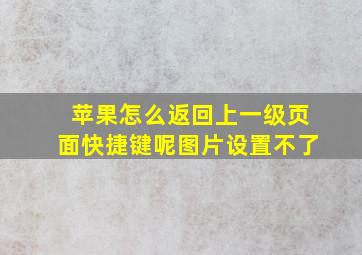 苹果怎么返回上一级页面快捷键呢图片设置不了