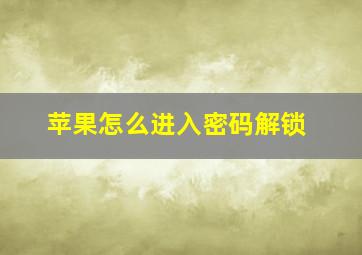 苹果怎么进入密码解锁