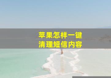 苹果怎样一键清理短信内容