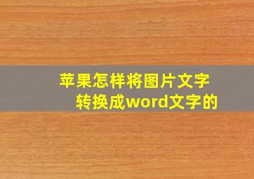 苹果怎样将图片文字转换成word文字的