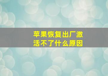 苹果恢复出厂激活不了什么原因