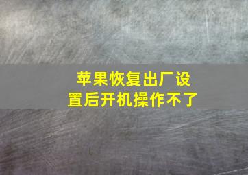 苹果恢复出厂设置后开机操作不了