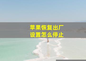 苹果恢复出厂设置怎么停止