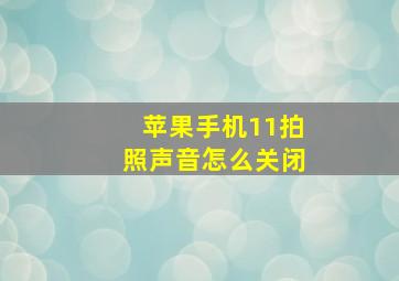 苹果手机11拍照声音怎么关闭