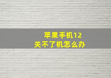 苹果手机12关不了机怎么办