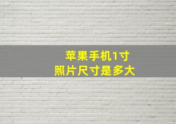 苹果手机1寸照片尺寸是多大