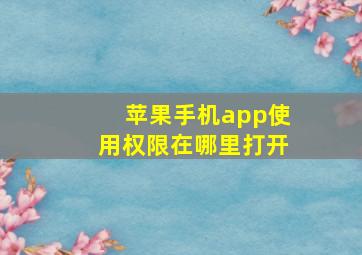 苹果手机app使用权限在哪里打开