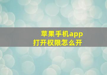 苹果手机app打开权限怎么开