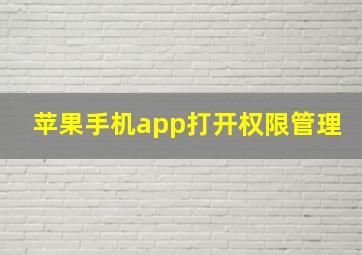 苹果手机app打开权限管理