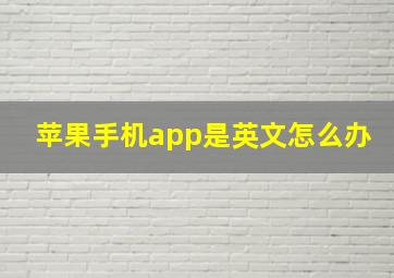 苹果手机app是英文怎么办