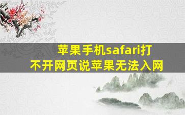 苹果手机safari打不开网页说苹果无法入网