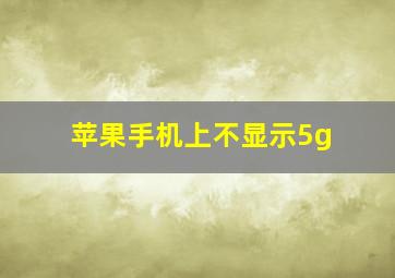 苹果手机上不显示5g