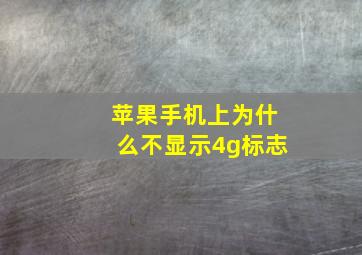 苹果手机上为什么不显示4g标志