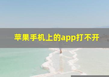 苹果手机上的app打不开