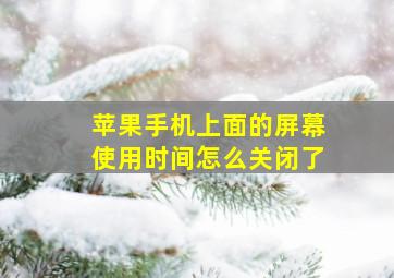 苹果手机上面的屏幕使用时间怎么关闭了