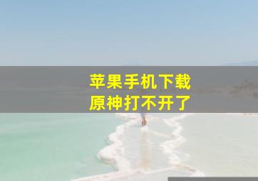 苹果手机下载原神打不开了