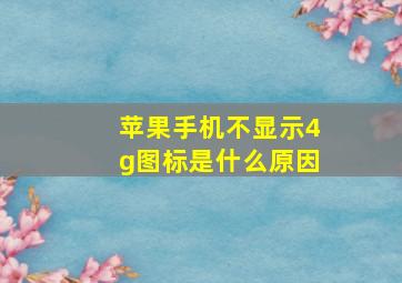 苹果手机不显示4g图标是什么原因