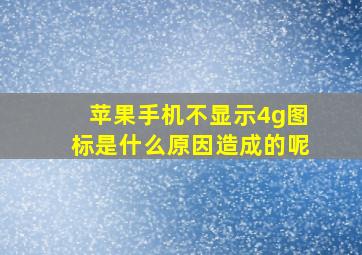 苹果手机不显示4g图标是什么原因造成的呢