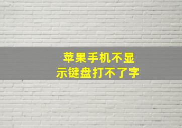 苹果手机不显示键盘打不了字